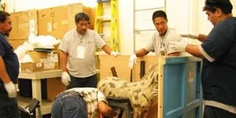Able Moving & Storage